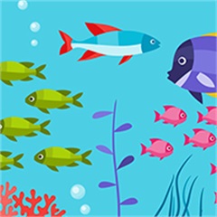 Under the Sea